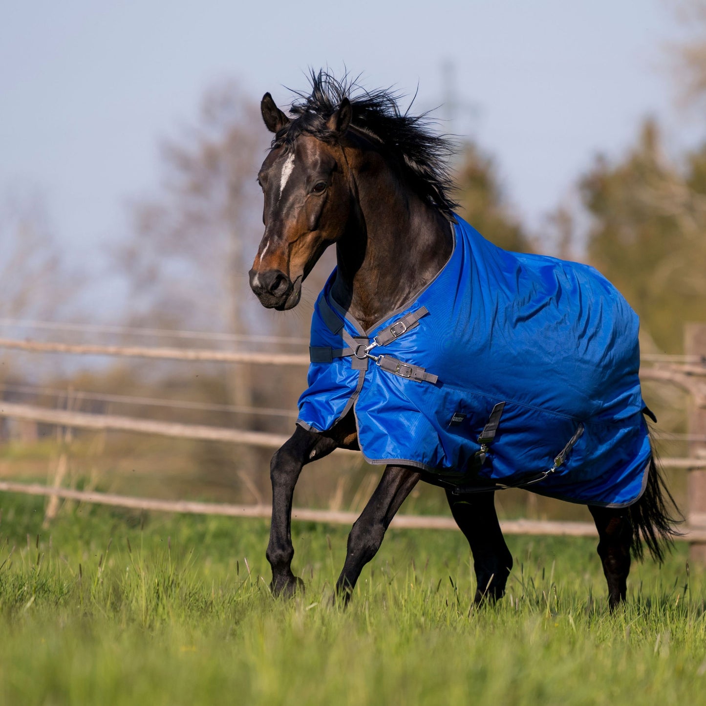 Outdoordecke WINDCHILL 100, Paddock- und Regendecke in zwei Farben