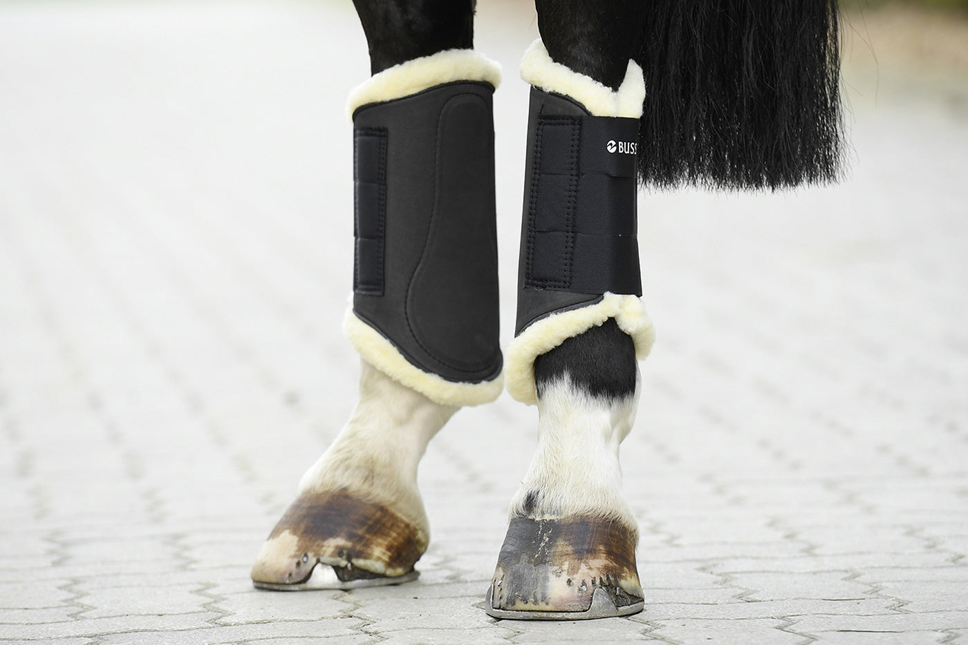Busse Gamaschen extra leichtgewichtige Dressurgamasche in verschiedenen Farben