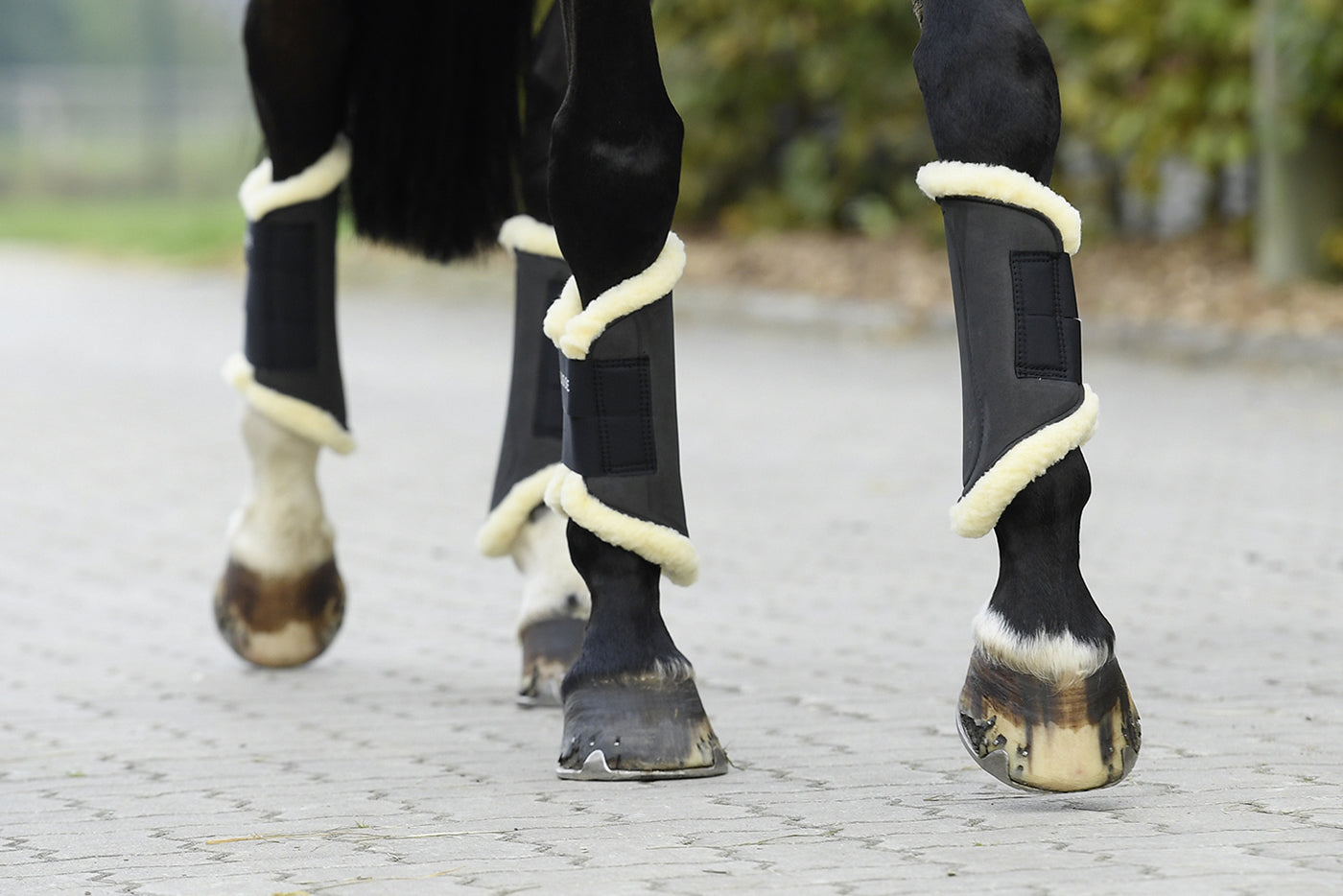 Busse Gamaschen extra leichtgewichtige Dressurgamasche in verschiedenen Farben