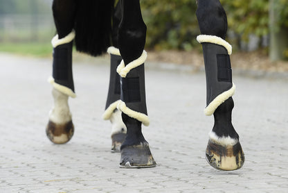 Busse Gamaschen extra leichtgewichtige Dressurgamasche in verschiedenen Farben
