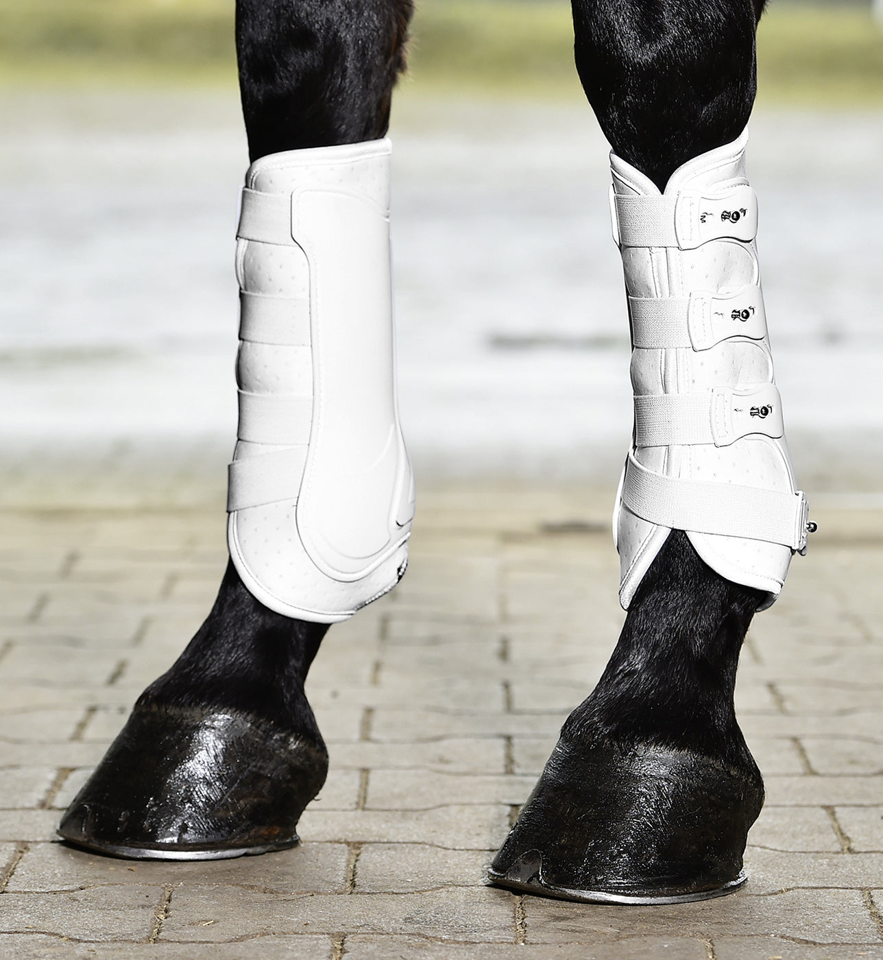 Busse Gamaschen DRESSAGE PRO Dressurgamaschen schwarz oder weiß