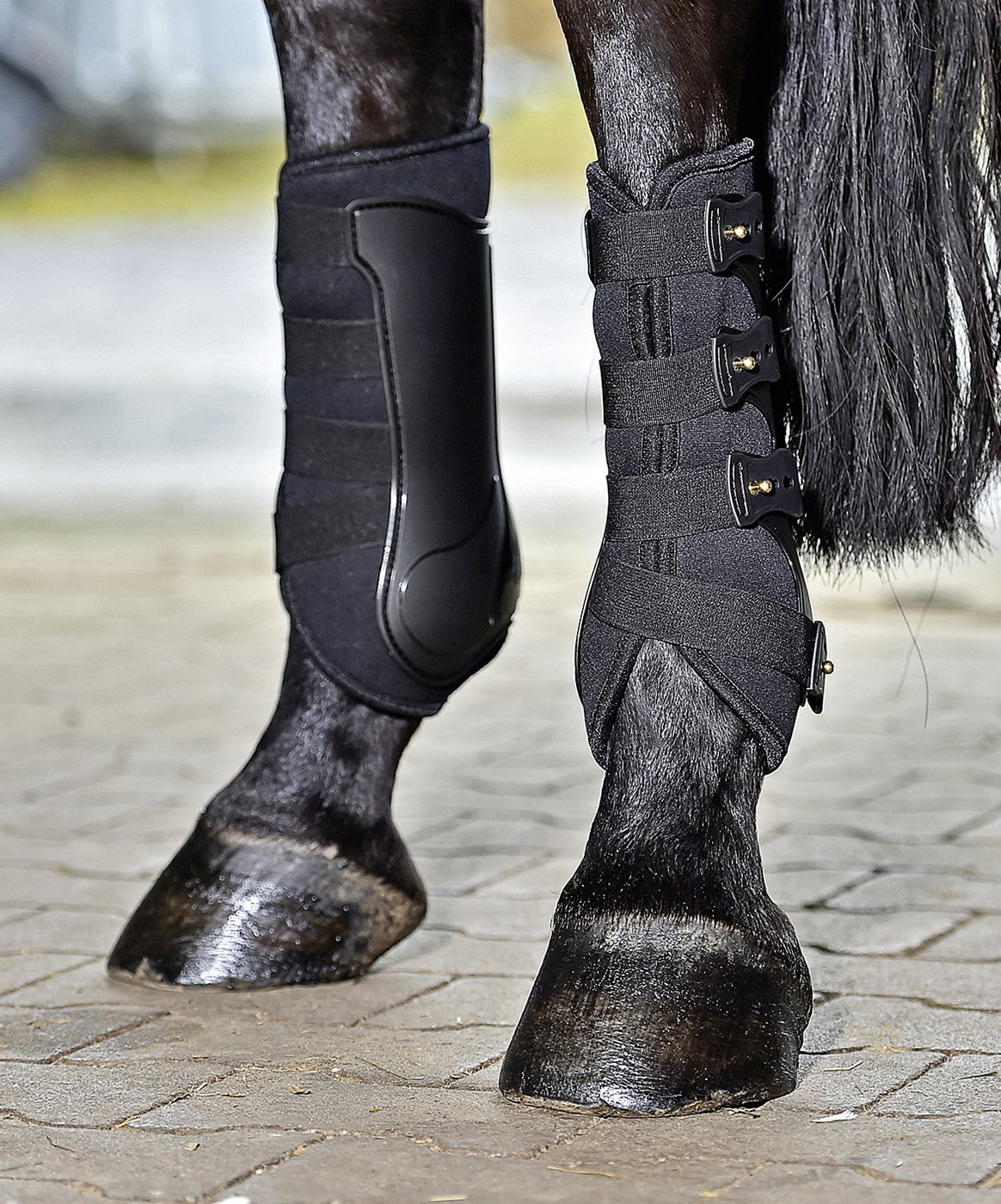 Busse Gamaschen DRESSAGE PRO Dressurgamaschen schwarz oder weiß