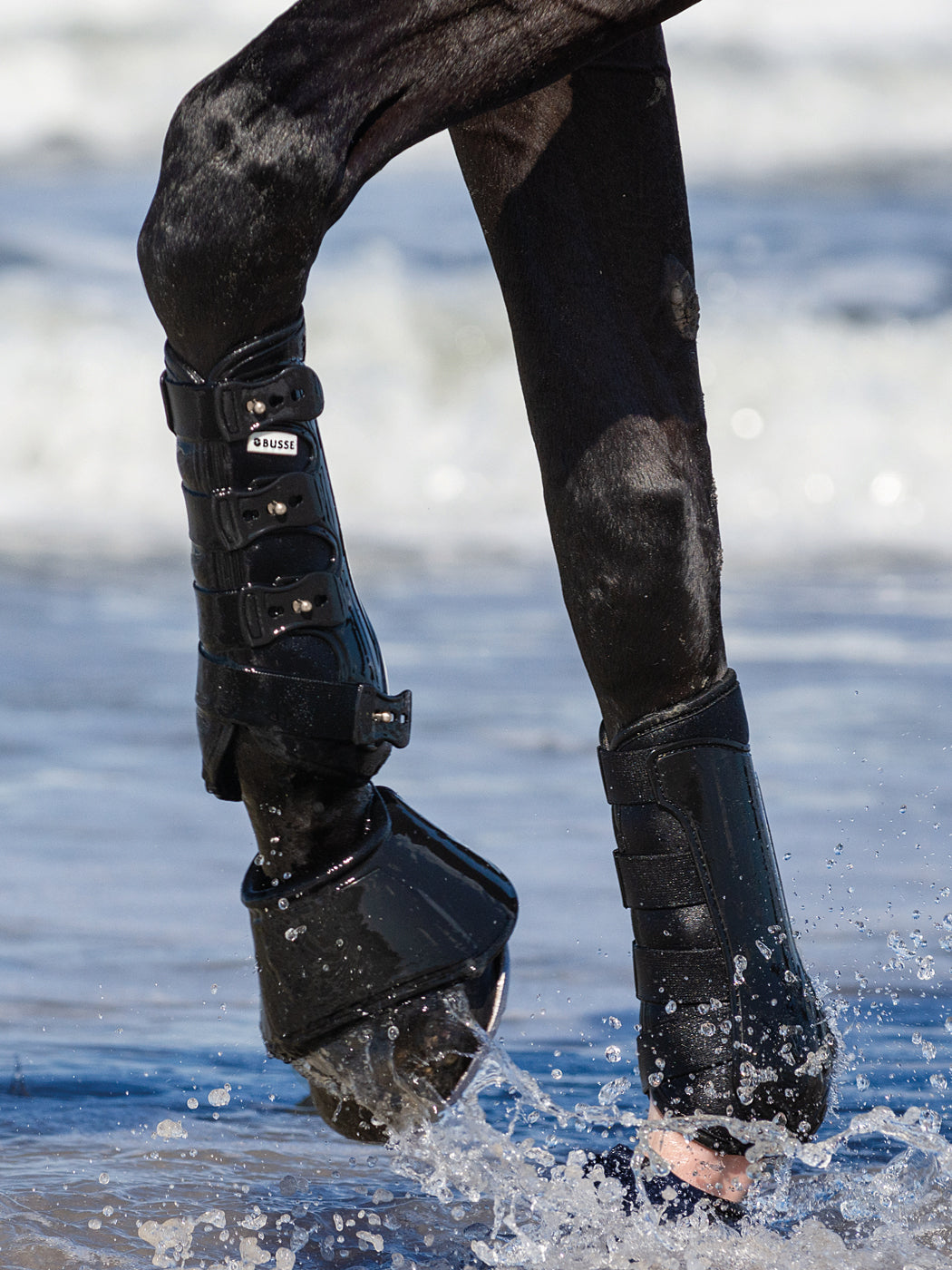 Busse Gamaschen DRESSAGE PRO Dressurgamaschen schwarz oder weiß