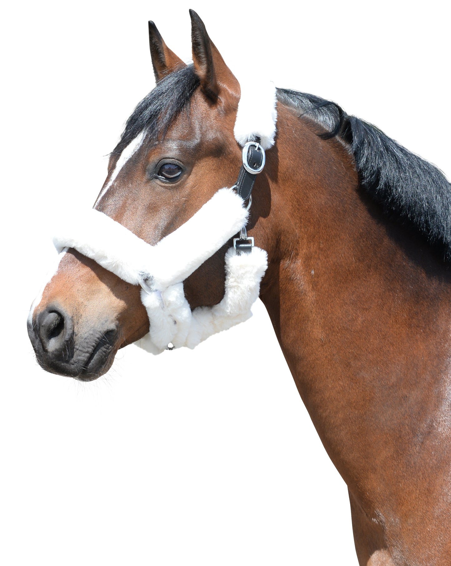 EQuest EQ Illusion Padding 9er Set