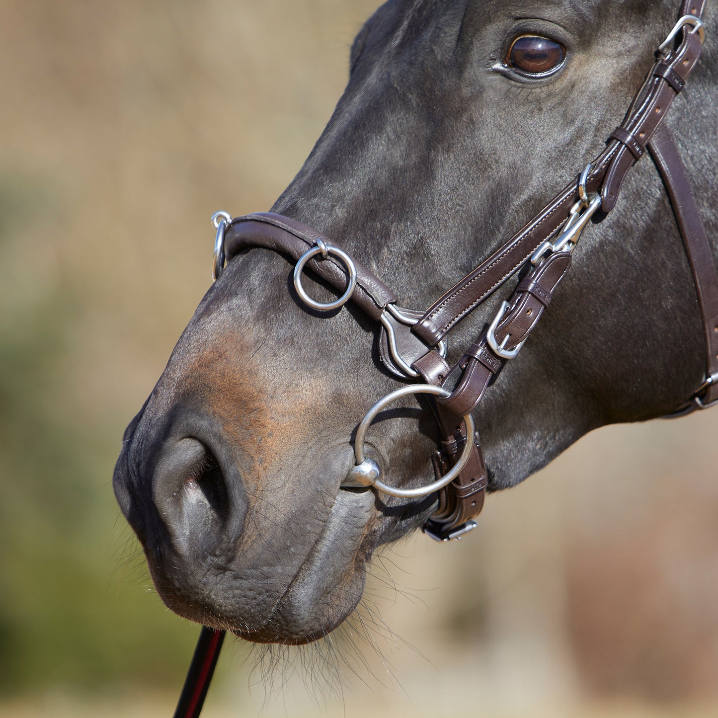 Kieffer Kappzaum Ultrasoft® ohne starres Naseneisen, Rindsleder