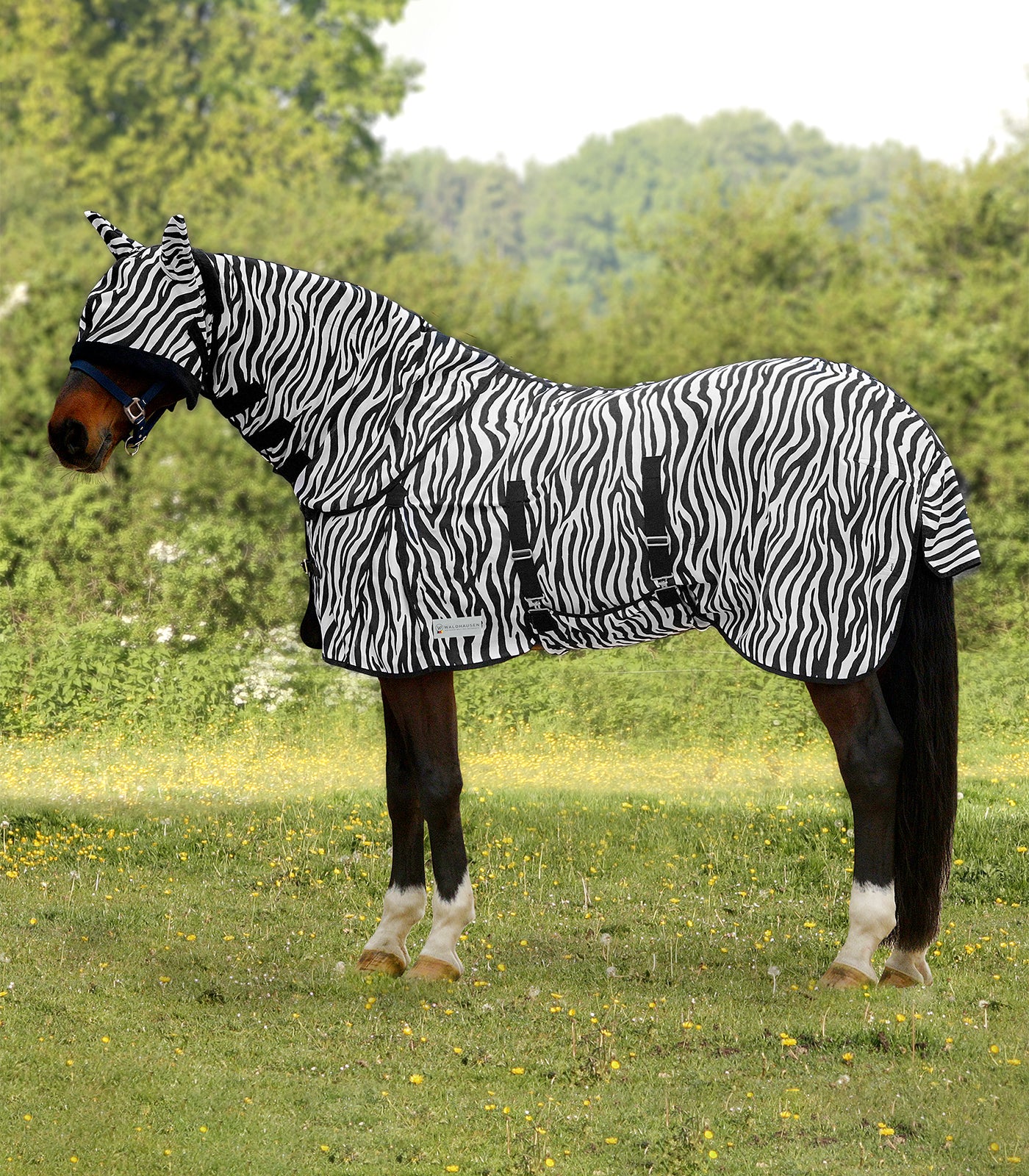 Waldhausen Fliegendecke Zebra Fliegenschutz