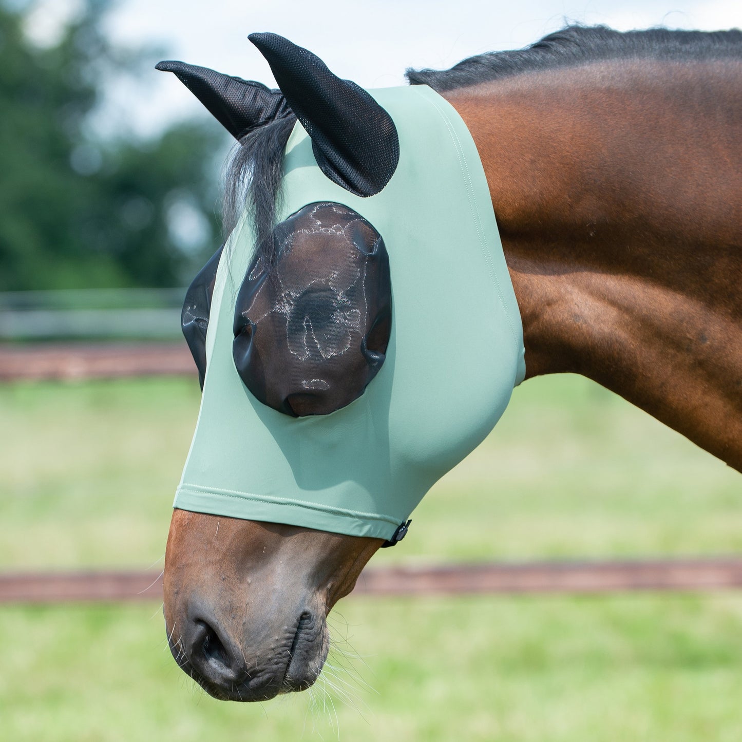 BUSSE Fliegenmaske TWIN FIT FLEXI in verschiedenen Farben