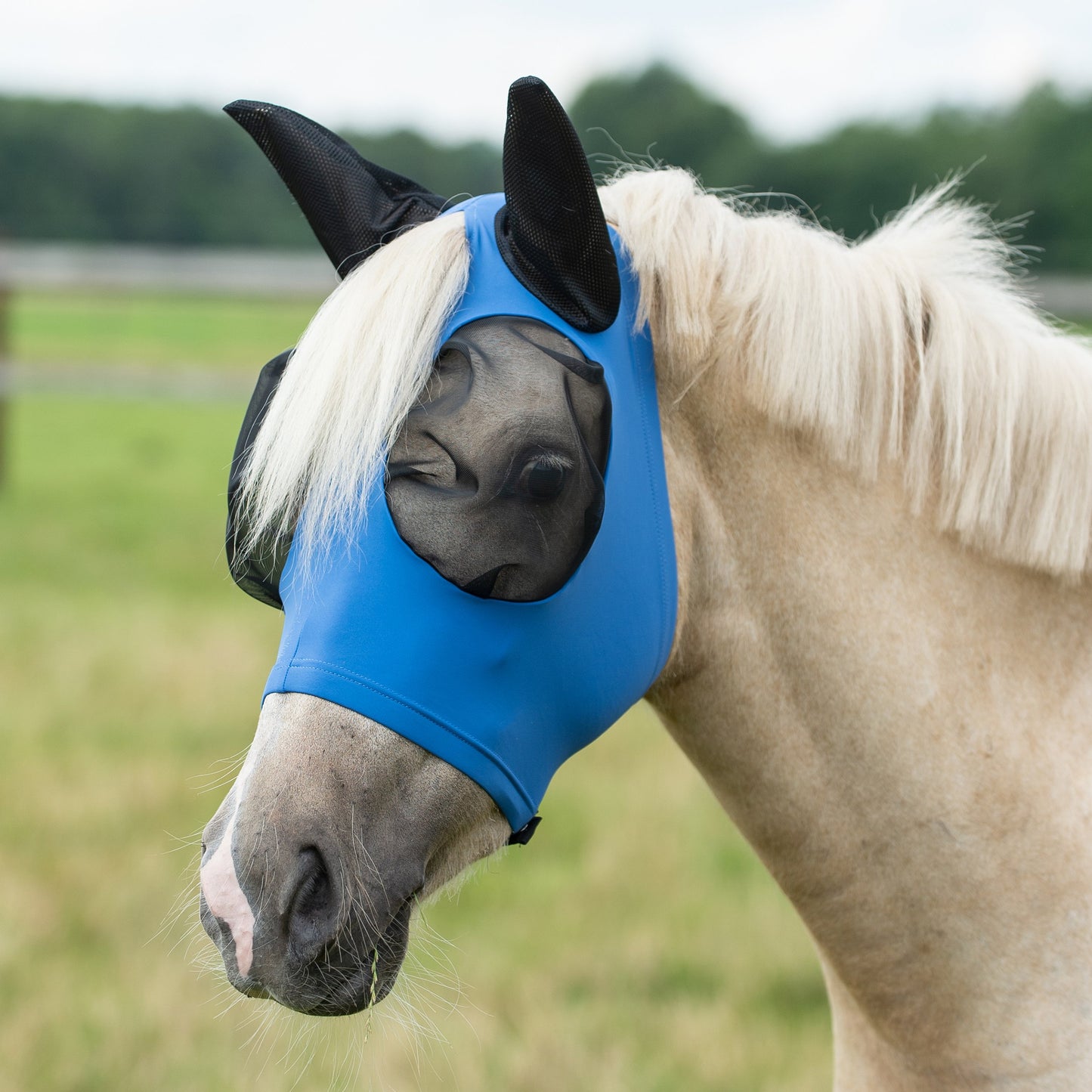 BUSSE Fliegenmaske TWIN FIT FLEXI in verschiedenen Farben