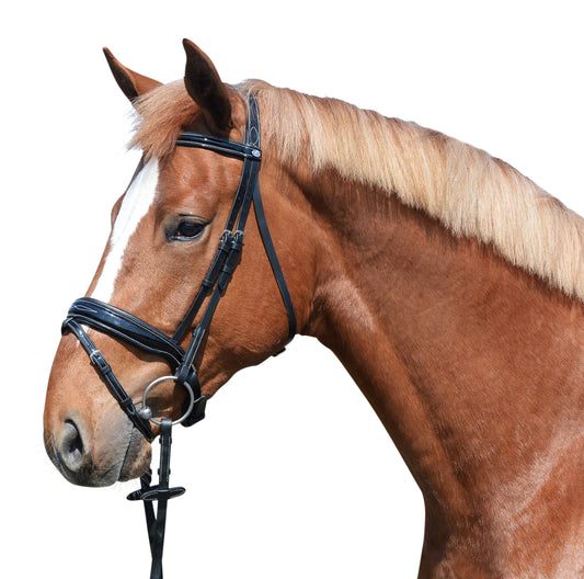 EQuest Lacktrense gepolstert incl. Stick - schwedisches Reithalfter