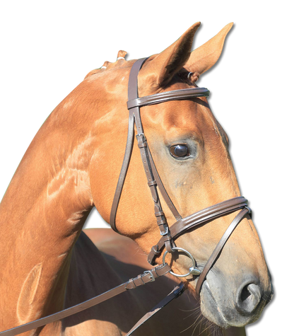 Waldhausen STAR Trensenzaum Lifestyle Englisch kombiniertes Reithalfter