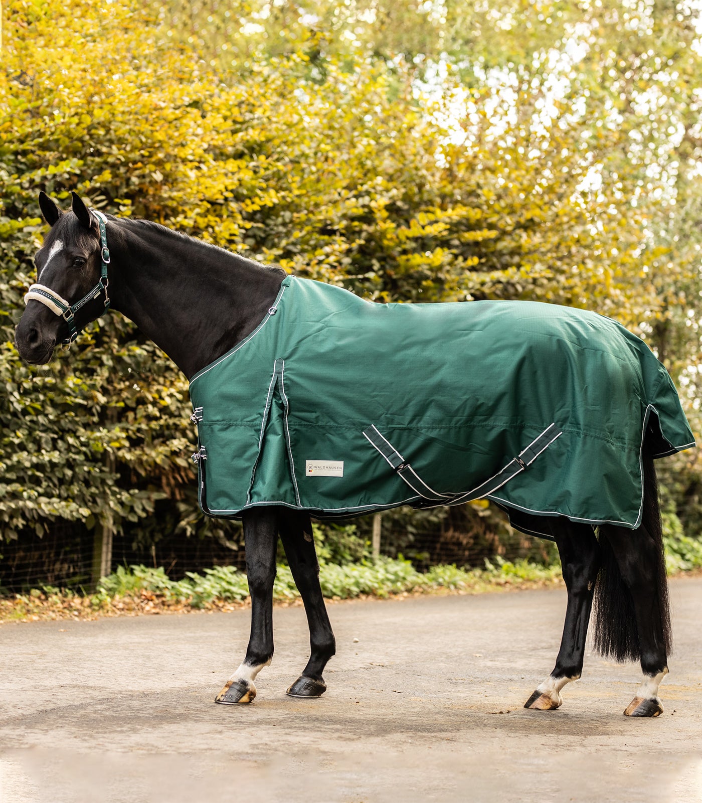 Waldhausen COMFORT Regendecke mit Kreuzbegurtung Outdoordecke