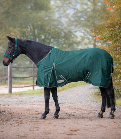 Waldhausen ECONOMIC Outdoordecke, 100 g Weidedecke Regendecke in vielen Farben