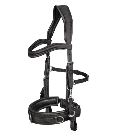 Waldhausen Lederkappzaum anatomic