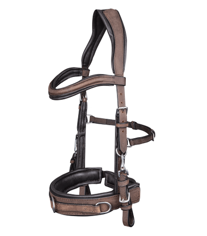 Waldhausen Lederkappzaum anatomic