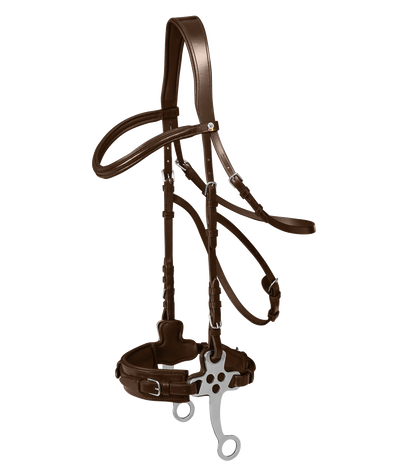 Waldhausen X-Line Hackamore Trensenzaum schwarz oder braun
