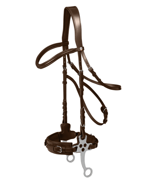 Waldhausen X-Line Hackamore Trensenzaum schwarz oder braun