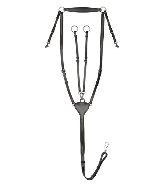 Waldhausen X-Line Vorderzeug Professional, schwarz