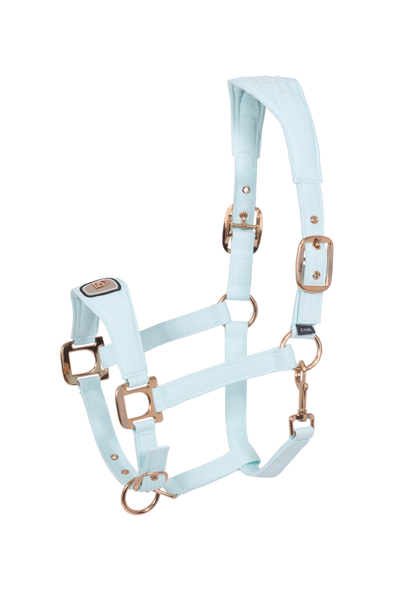 Cavallo Cavalpawel Halfter