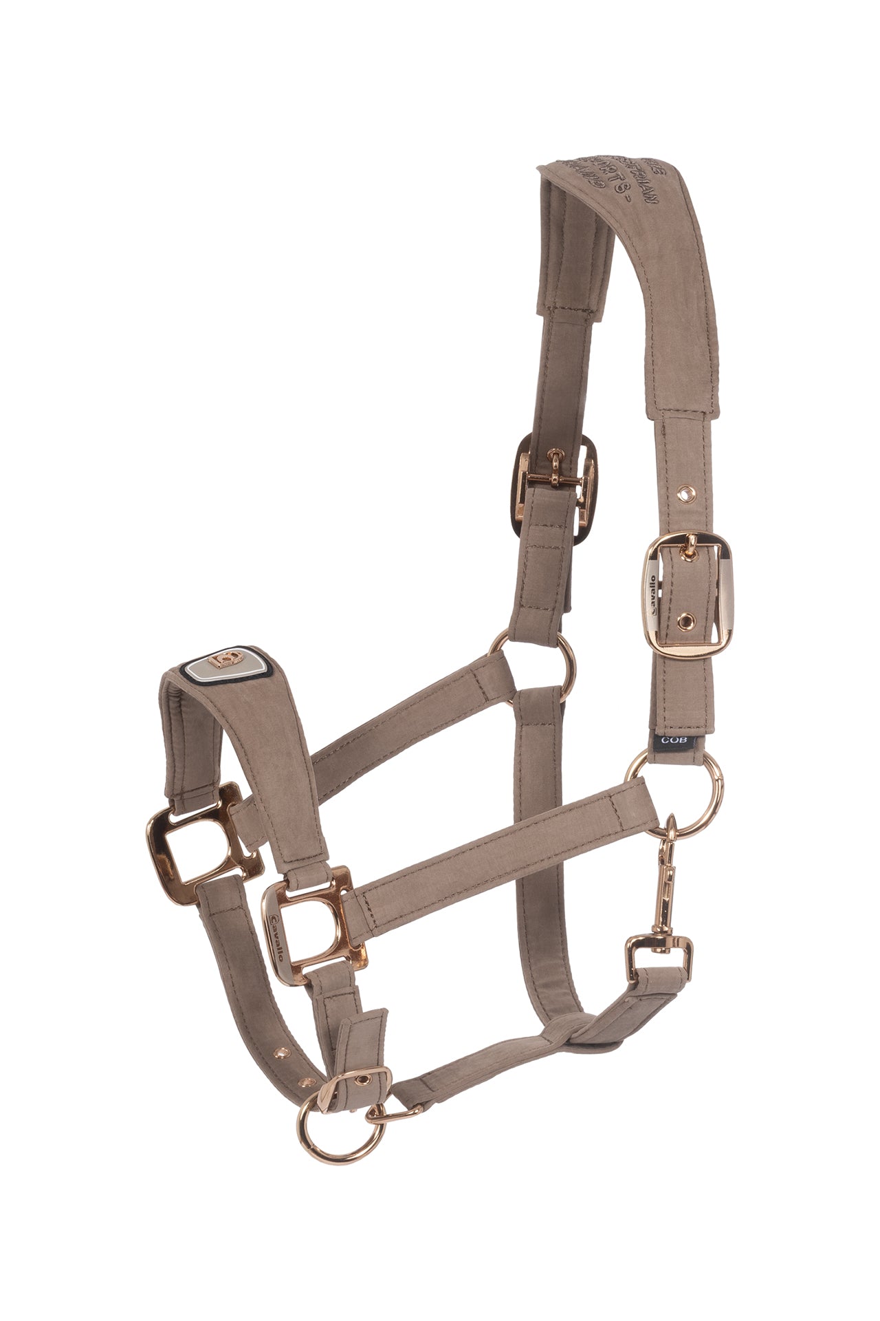 Cavallo Cavalpawel Halfter