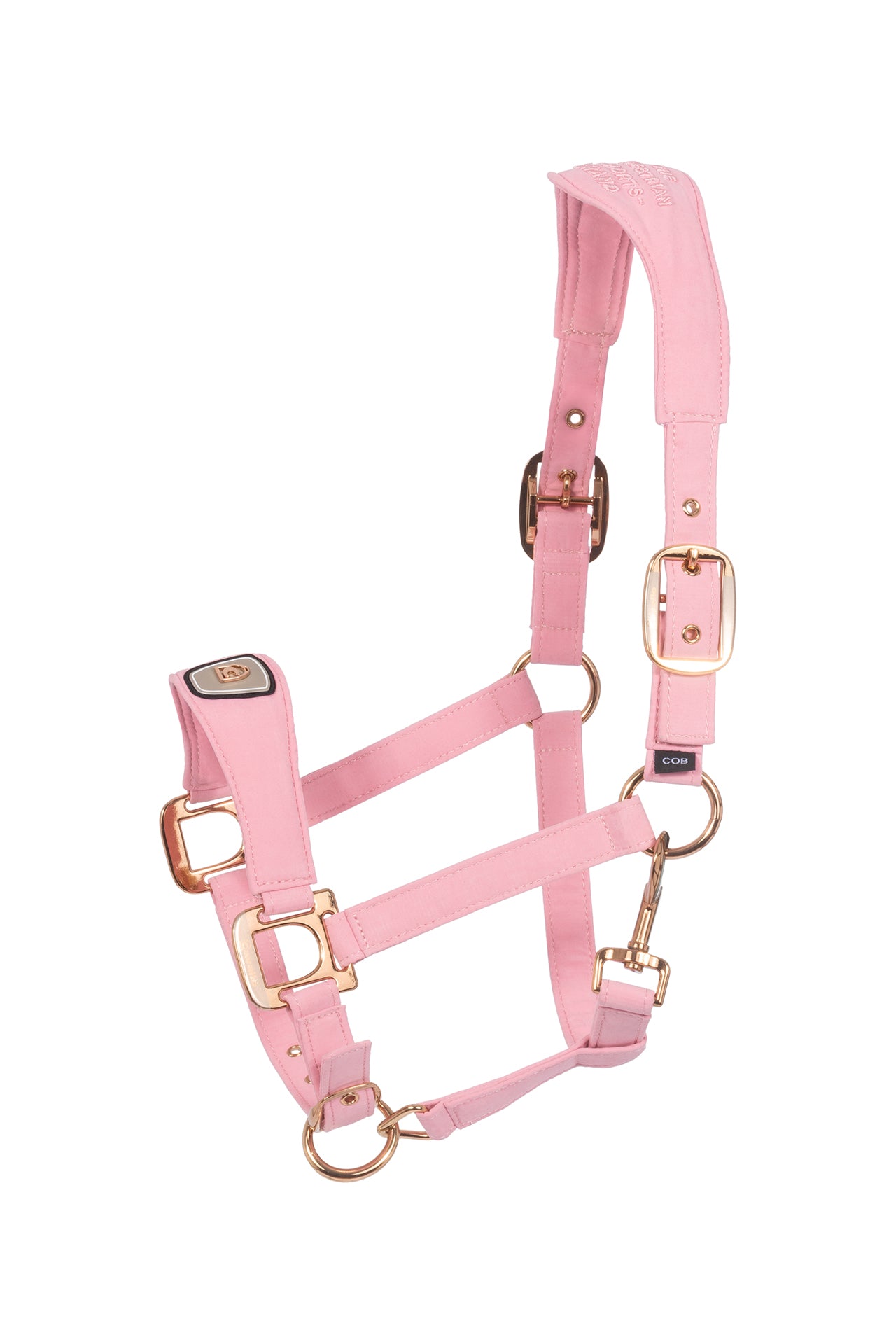 Cavallo Cavalpawel Halfter