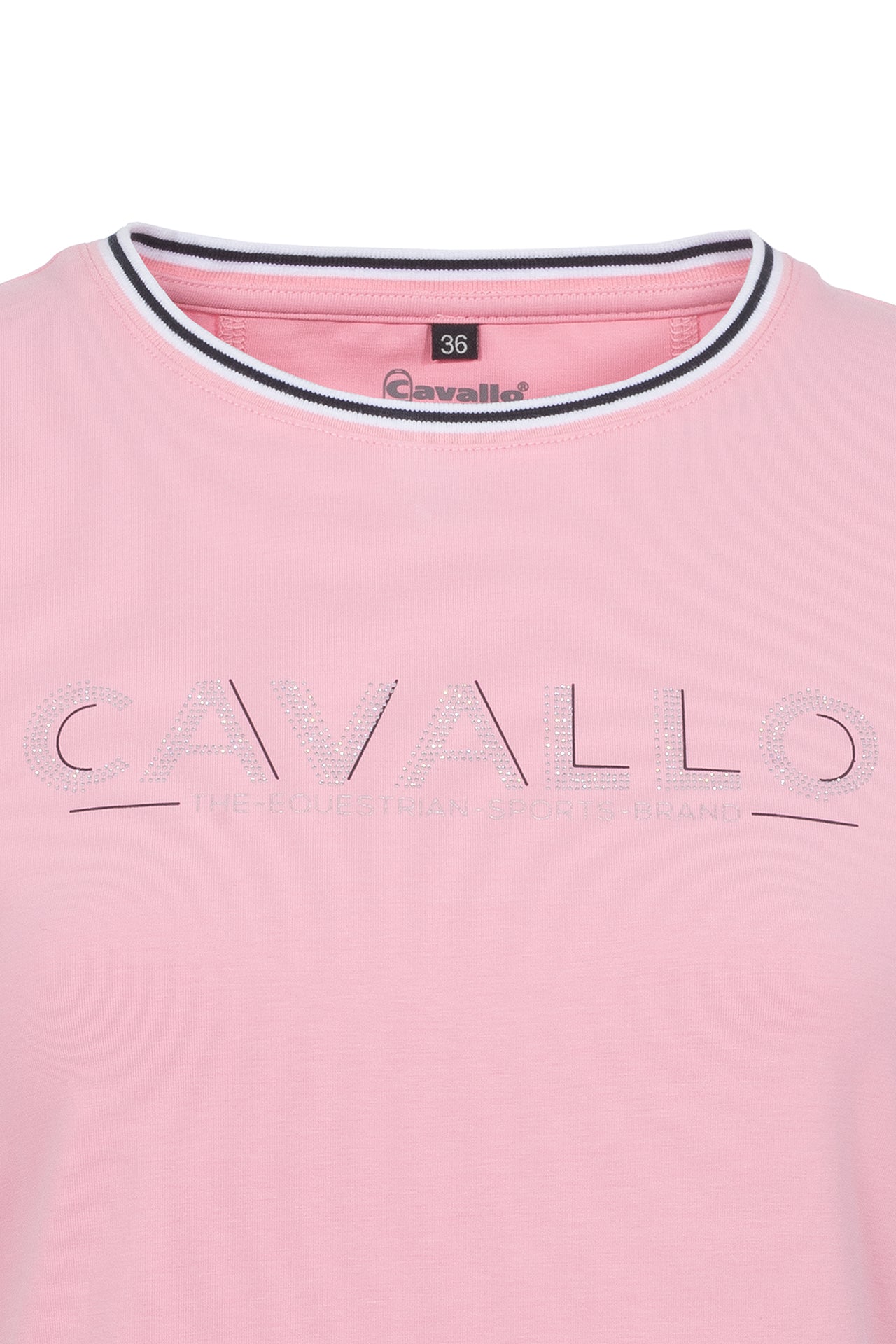 Cavallo Cavalbell Damen T-Shirt Reitershirt verschiedene Farben
