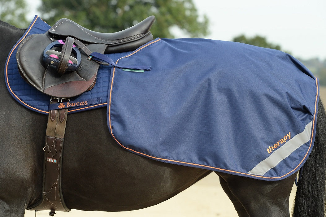 Bucas Therapy Quarter Sheet Nierendecke