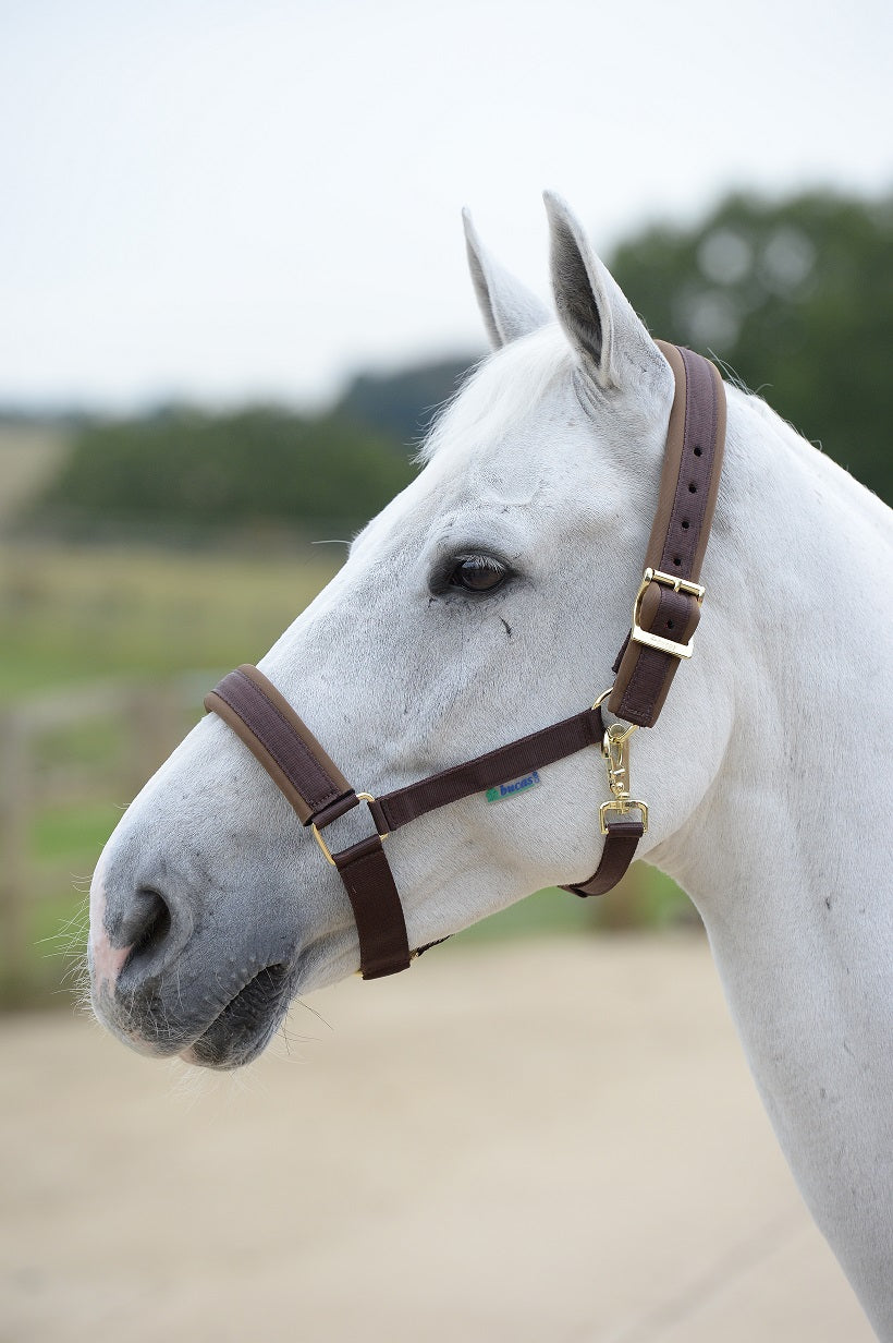 Bucas Comfort Halfter in vielen Farben