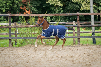 Bucas Fohlendecke Foal Turnout 50g
