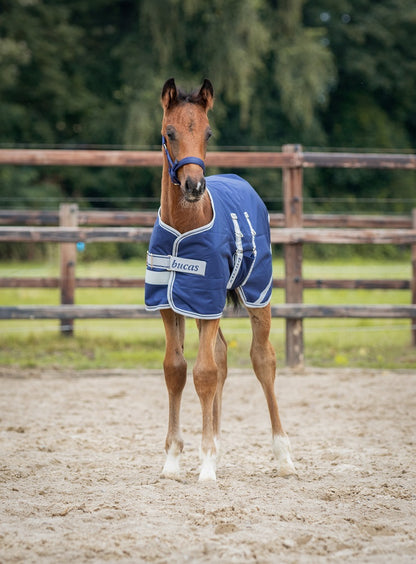 Bucas Fohlendecke Foal Turnout 50g