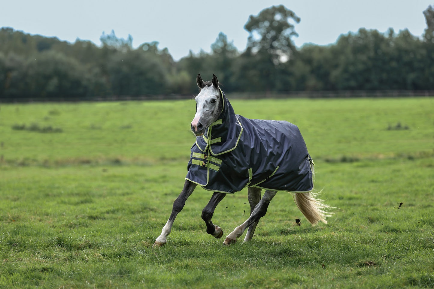 Bucas Oasis Turnout 100 g + Neck, Outdoordecke, Weidedecke