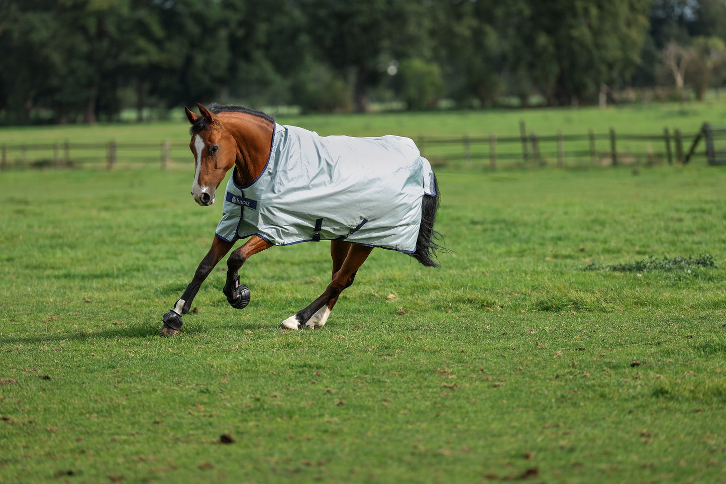 Bucas Power Turnout Extra High Neck Outdoordecke, Abschwitzdecke
